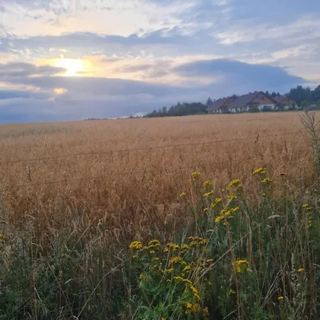Zielony-Bursztyn Objazda-Kolonia Exterior foto