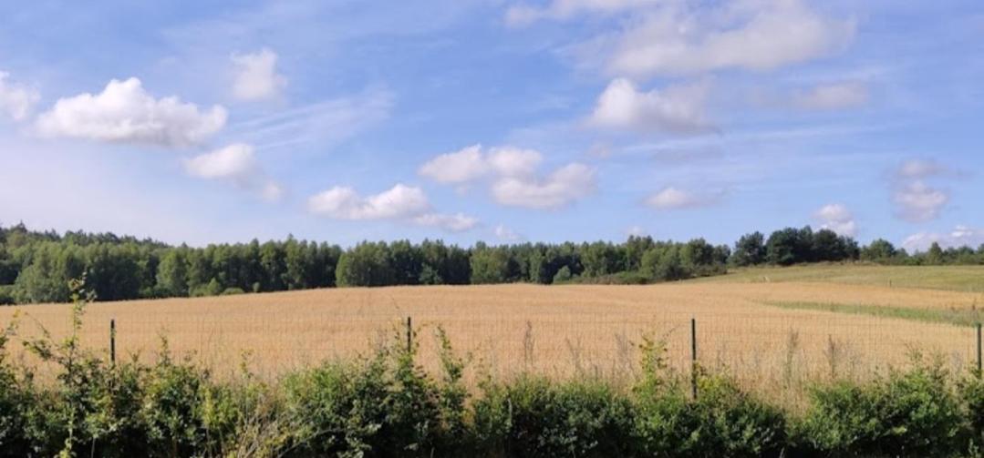 Holiday home Zielony-bursztyn *