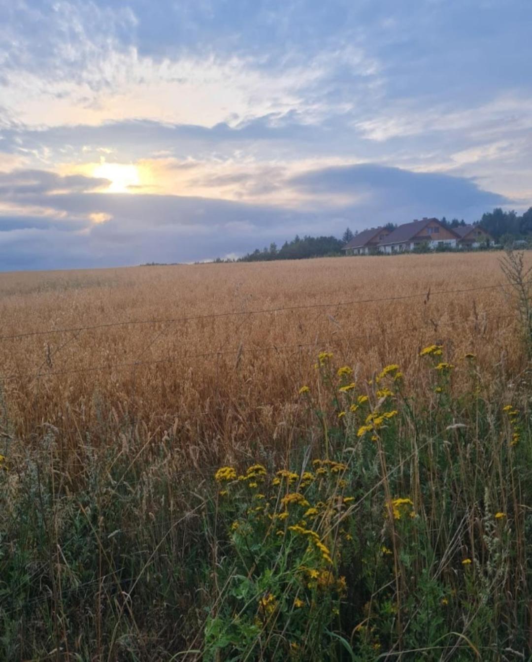 Holiday home Zielony-bursztyn *